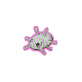 Exotic Silcoon